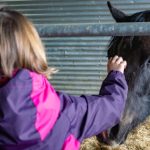 © Visite de la ferme de l'Aubrac - Corbier Tourisme