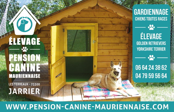 Pension Canine