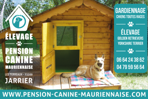 Pension Canine