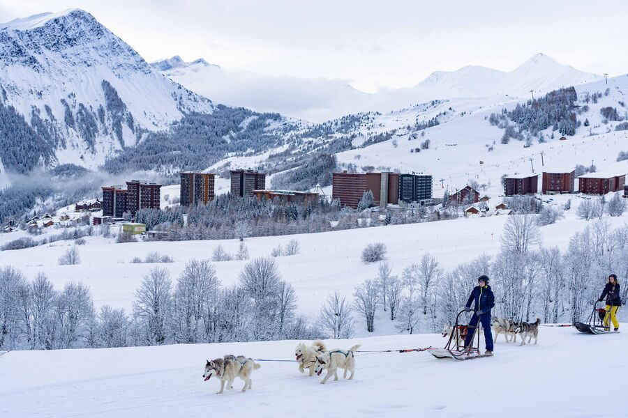 © Chien de traineaux - Corbier Tourisme