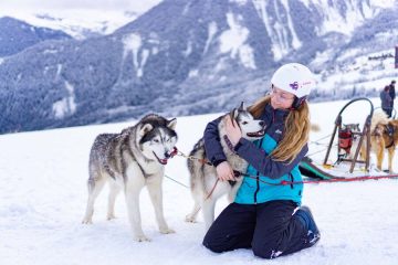 © Chien de traineaux - Corbier Tourisme